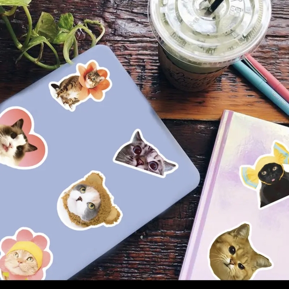 Charming Cat Sticker Collection - Picture 7 of 7
